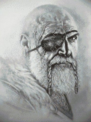 (image for) Veteran